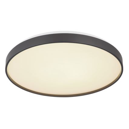 Globo - Φωτιστικό οροφής LED LED/24W/230V