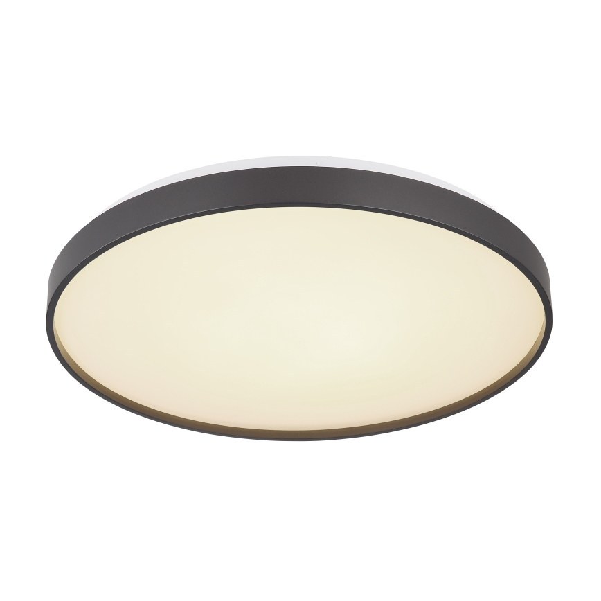 Globo - Φωτιστικό οροφής LED LED/24W/230V
