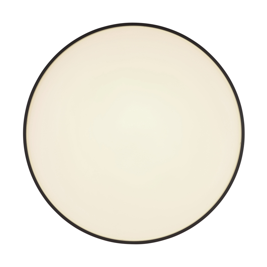 Globo - Φωτιστικό οροφής LED LED/24W/230V