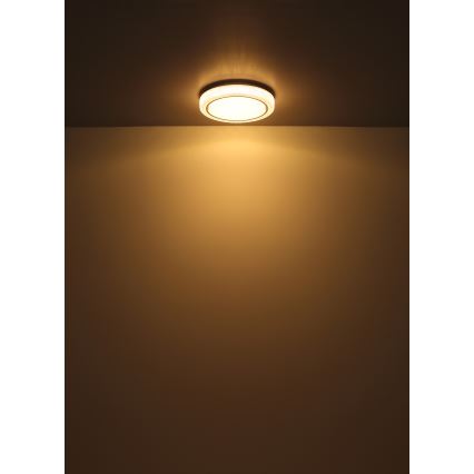 Globo - Φωτιστικό οροφής LED LED/24W/230V διάμετρος 40 cm 3000K λευκό