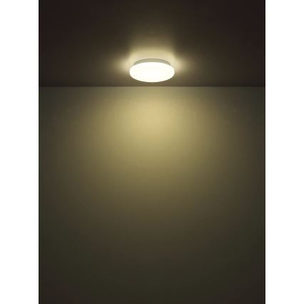 Globo - Φωτιστικό οροφής LED/8W/230V 4000K Ø 55 cm