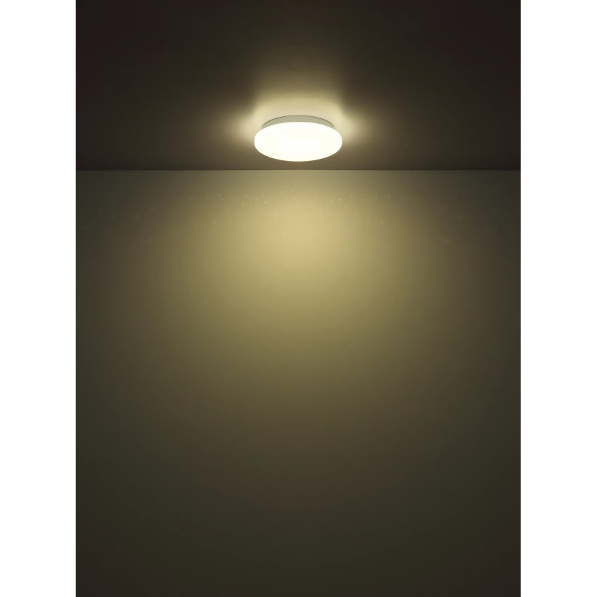 Globo - Φωτιστικό οροφής LED/8W/230V 4000K Ø 55 cm
