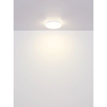 Globo - Φωτιστικό οροφής LED/8W/230V 4000K Ø 55 cm