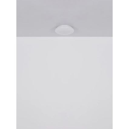 Globo - Φωτιστικό οροφής LED/8W/230V 4000K Ø 55 cm