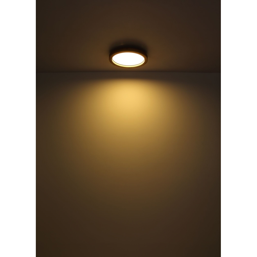 Globo - LED RGBW Dimmable φωτιστικό οροφής LED/24W/230V 2700-6000K + τηλεχειριστήριο