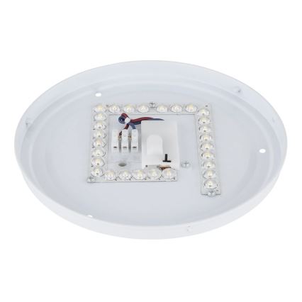 Globo - Φωτιστικό οροφής LED/12W/230V 3000/4200/6500K Ø 26 cm