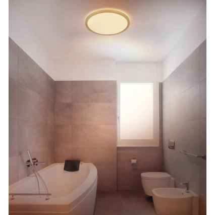 Globo - Φωτιστικό οροφής μπάνιου dimming LED LED/18W/230V 3000K IP44 διάμετρος 29,4 cm ορείχαλκος
