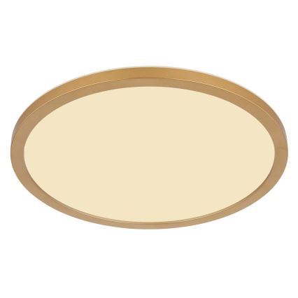 Globo - Φωτιστικό οροφής μπάνιου dimming LED LED/24W/230V 3000K IP44 διάμετρος 42 cm ορείχαλκος