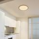 Globo - Φωτιστικό οροφής μπάνιου dimming LED LED/24W/230V διάμετρος 42 cm IP44 καφέ