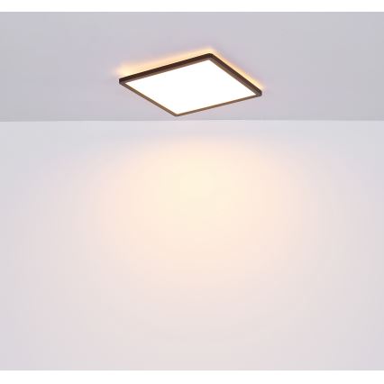 Globo - Φωτιστικό οροφής μπάνιου dimming LED LED/18W/230V 29,4x29,4 cm IP44 μαύρο