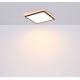 Globo - Φωτιστικό οροφής μπάνιου dimming LED LED/18W/230V 29,4x29,4 cm IP44 μαύρο