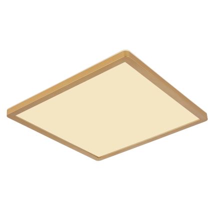 Globo - Φωτιστικό οροφής μπάνιου dimming LED LED/18W/230V 3000K IP44 29,4x29,4 cm ορείχαλκος