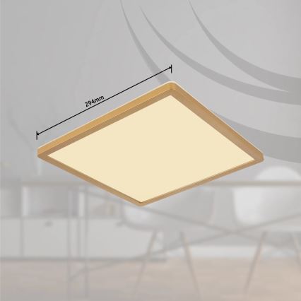 Globo - Φωτιστικό οροφής μπάνιου dimming LED LED/18W/230V 3000K IP44 29,4x29,4 cm ορείχαλκος