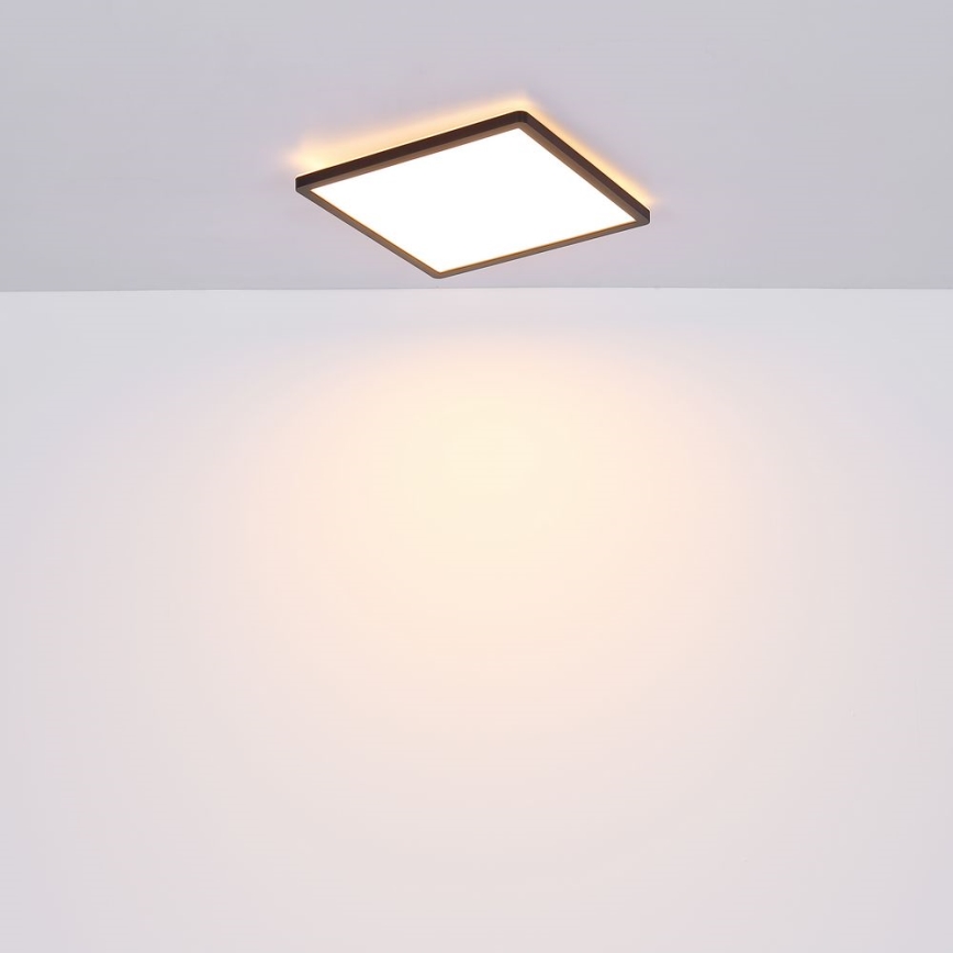 Globo - LED Ρυθμιζόμενο φωτιστικό οροφής μπάνιου LED/24W/230V 42x42 cm IP44 μαύρο