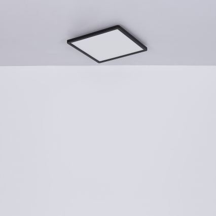 Globo - LED Ρυθμιζόμενο φωτιστικό οροφής μπάνιου LED/24W/230V 42x42 cm IP44 μαύρο
