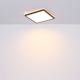Globo - Φωτιστικό οροφής μπάνιου dimming LED LED/24W/230V 42x42 cm IP44 μαύρο