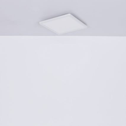 Globo - LED ρυθμιζόμενο φωτιστικό οροφής μπάνιου LED/24W/230V 42x42 εκ. IP44 λευκό
