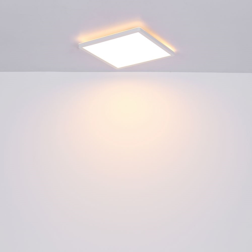 Globo - Φωτιστικό οροφής μπάνιου dimming LED LED/24W/230V 42x42 cm IP44 λευκό