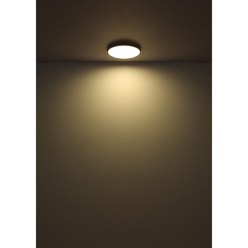 Globo - Φωτιστικό οροφής LED LED/15W/230V 4000K διάμετρος 23 cm μαύρο