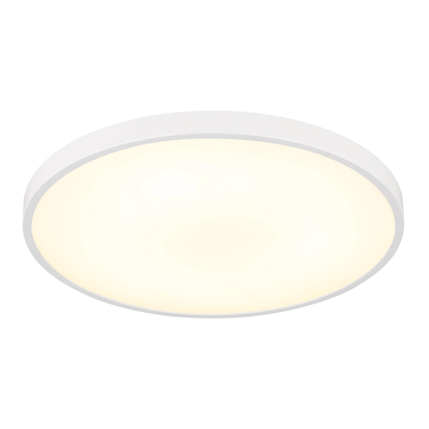 Globo - Φωτιστικό οροφής LED/15W/230V 4000K διάμ. 23 cm λευκό