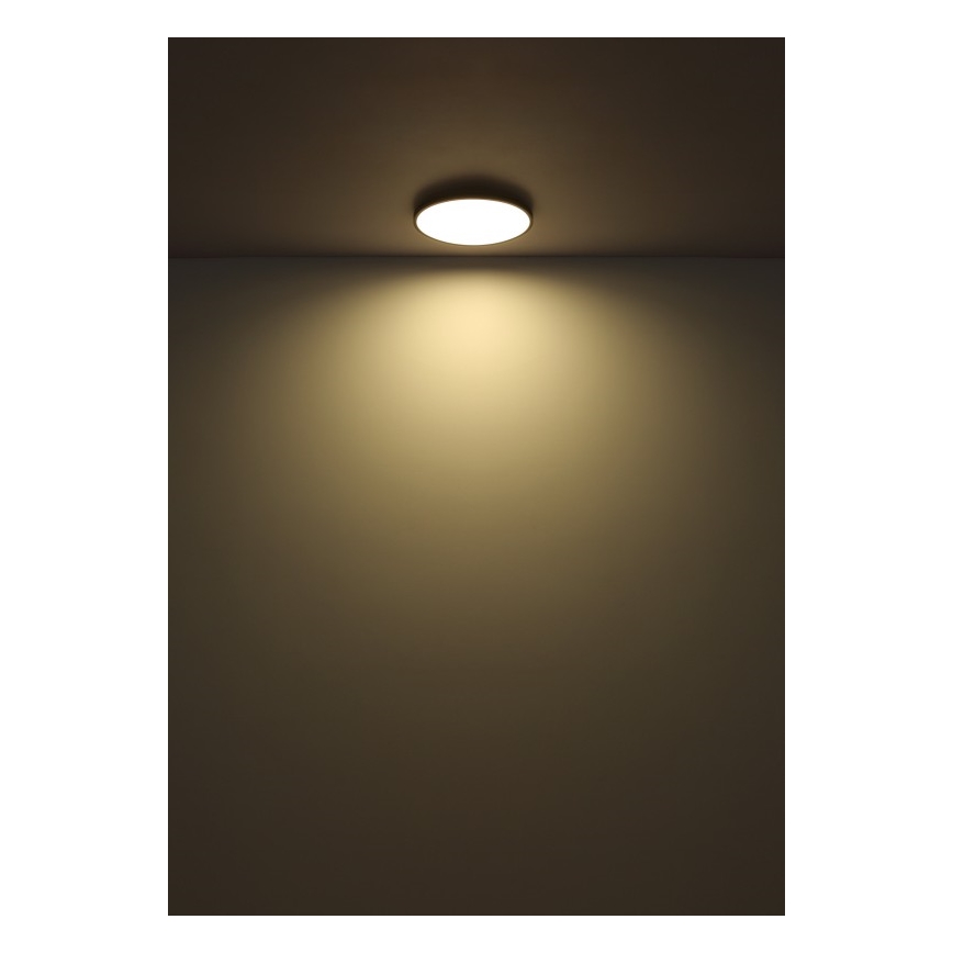 Globo - Φωτιστικό οροφής LED LED/32W/230V 4000K διάμετρος 40 cm μαύρο