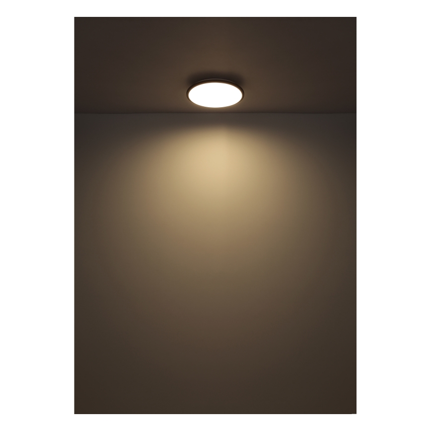 Globo - Φωτιστικό οροφής LED LED/18W/230V 4000K διάμετρος 35 cm μαύρο