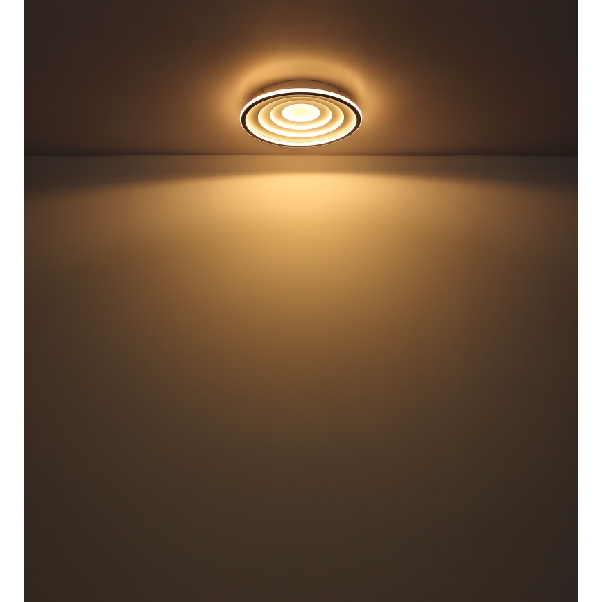 Globo - Φωτιστικό οροφής LED LED/24W/230V