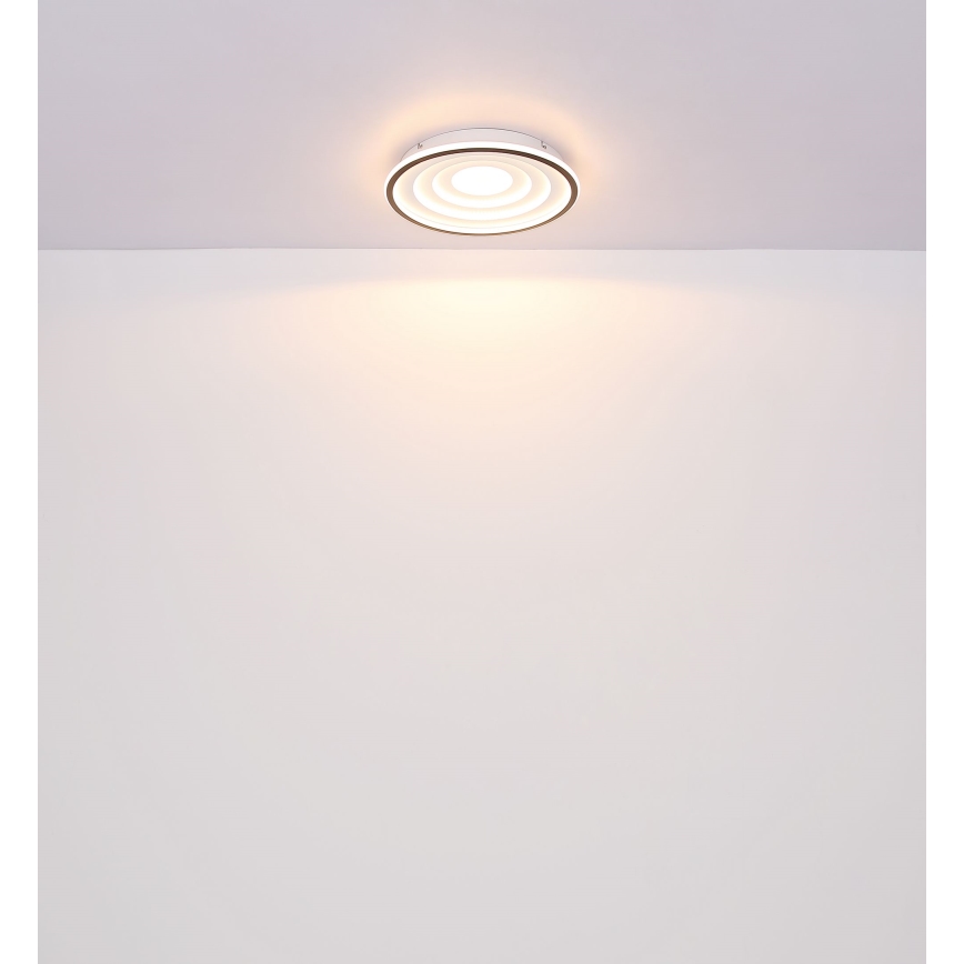 Globo - Φωτιστικό οροφής LED LED/24W/230V