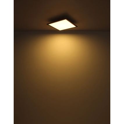 Globo - Φωτιστικό οροφής LED LED/24W/230V