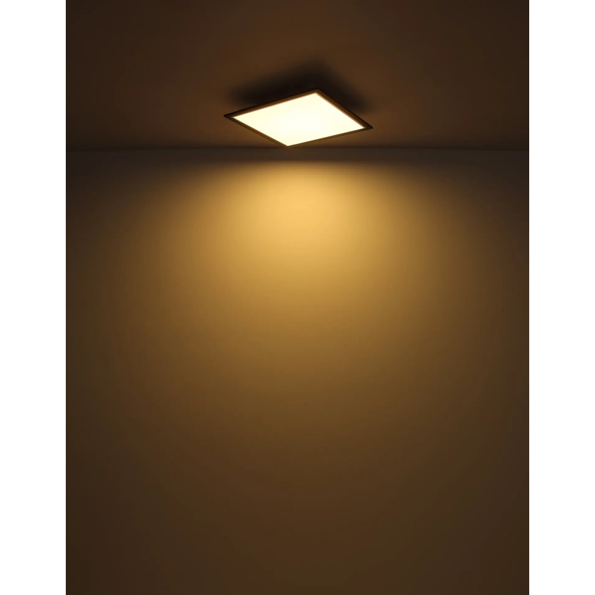 Globo - Φωτιστικό οροφής LED LED/24W/230V