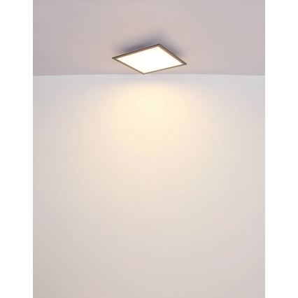 Globo - Φωτιστικό οροφής LED LED/24W/230V