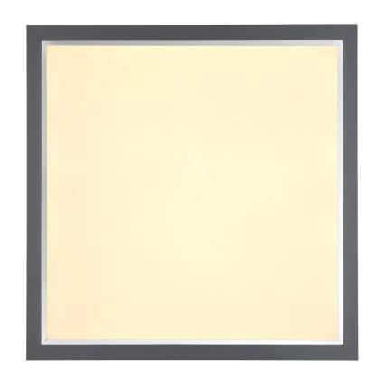Globo - Φωτιστικό οροφής LED LED/24W/230V
