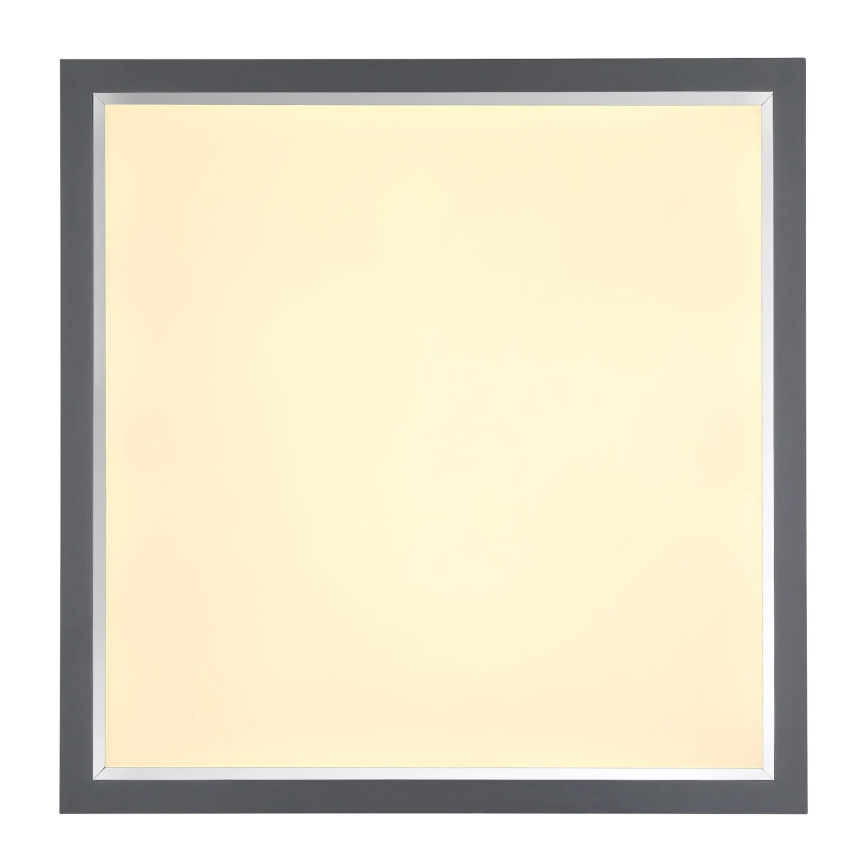 Globo - Φωτιστικό οροφής LED LED/24W/230V