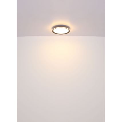 Globo - LED Οροφωτιστικό LED/39W/230V διάμ. 40 εκ.