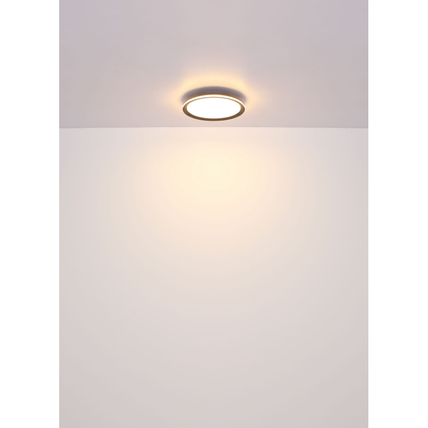 Globo - LED Οροφωτιστικό LED/39W/230V διάμ. 40 εκ.