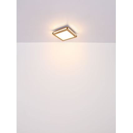 Globo - Φωτιστικό οροφής LED LED/12W/230V 30x30 cm
