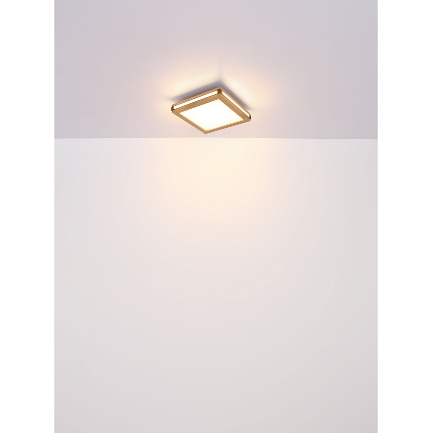 Globo - Φωτιστικό οροφής LED LED/12W/230V 30x30 cm