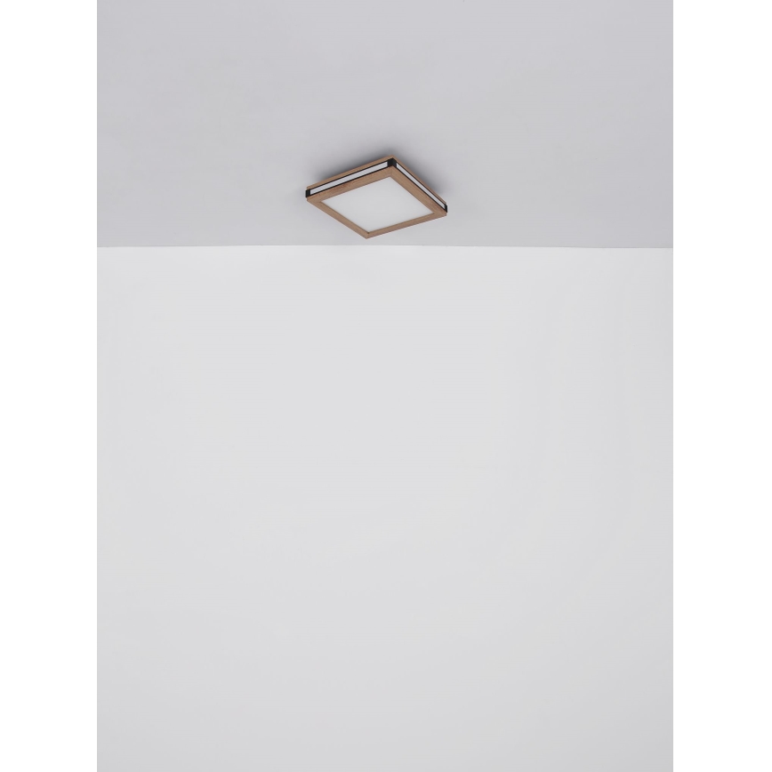 Globo - Φωτιστικό οροφής LED LED/12W/230V 30x30 cm