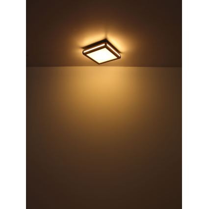 Globo - Φωτιστικό οροφής LED LED/12W/230V 30x30 cm