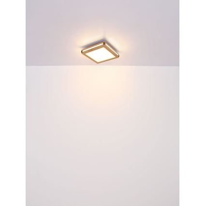 Globo - Φωτιστικό οροφής LED LED/12W/230V 30x30 cm