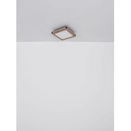 Globo - Φωτιστικό οροφής LED LED/12W/230V 30x30 cm