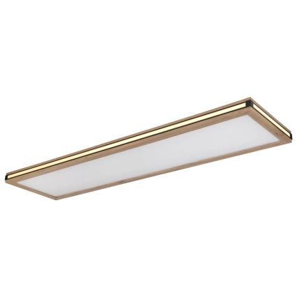 Globo - LED Dimmable φωτιστικό οροφής LED/36W/230V 3000K 30x120 cm