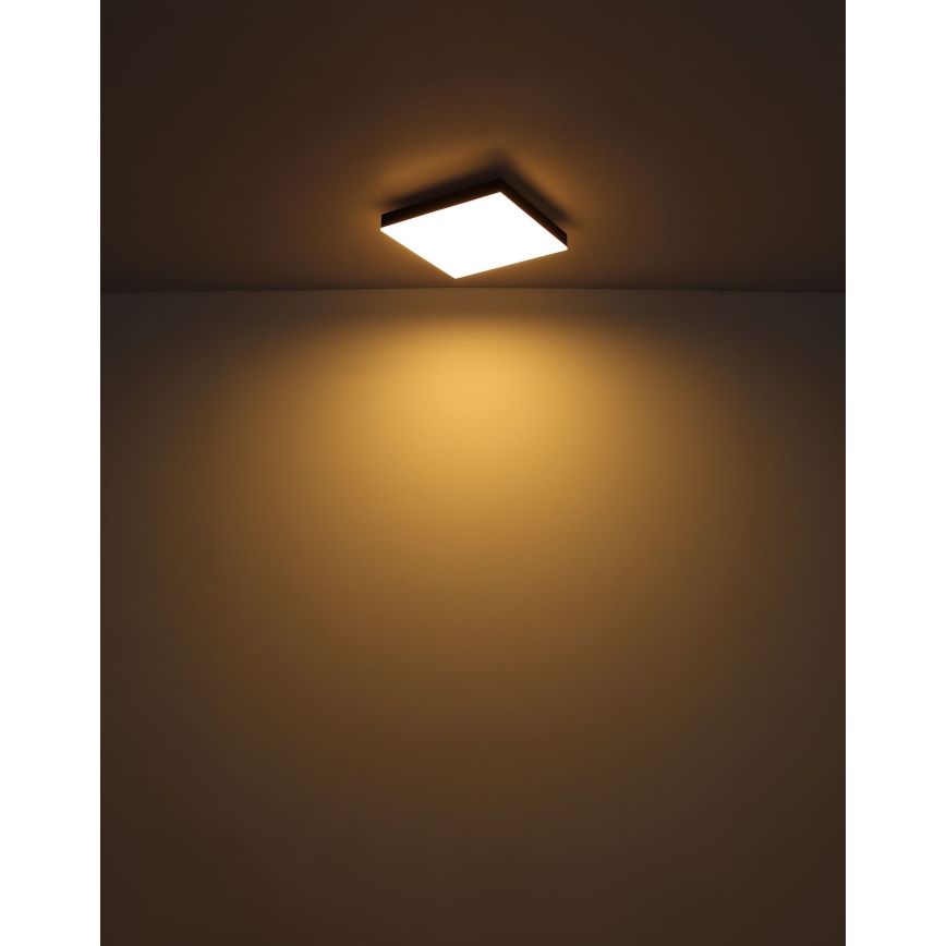 Globo - LED Dimmable φωτιστικό οροφής LED/24W/230V 2700-6500K μαύρο + τηλεχειριστήριο