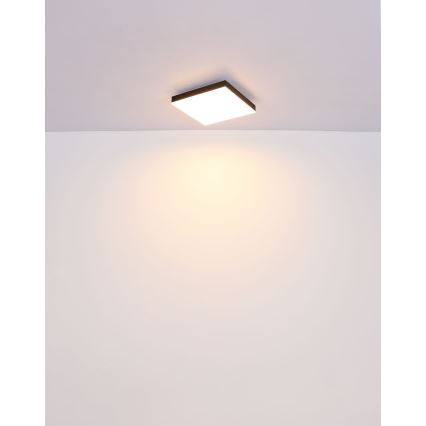 Globo - LED Dimmable φωτιστικό οροφής LED/24W/230V 2700-6500K μαύρο + τηλεχειριστήριο