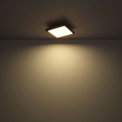 Globo - Φωτιστικό οροφής LED LED/12W/230V 2700/4500/6500K 30x30 cm