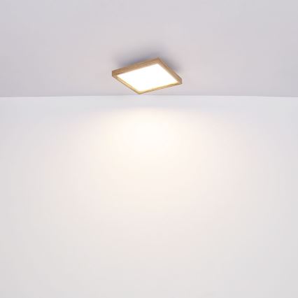 Globo - LED Φωτιστικό οροφής LED/24W/230V 45cm 2700/4500/6500K