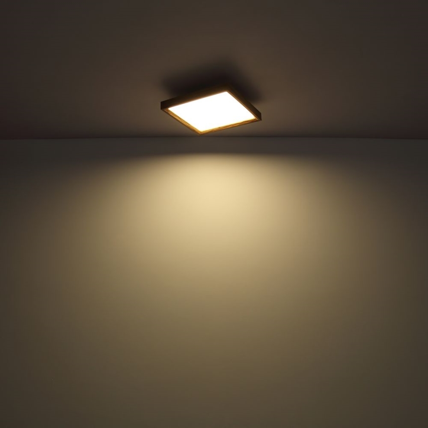 Globo - Φωτιστικό οροφής LED LED/36W/230V 2700/4500/6500K 60x60 cm