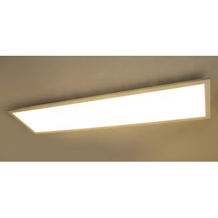 Globo - LED πλαφονιέρα- πάνελ ROSI LED/40W/230V