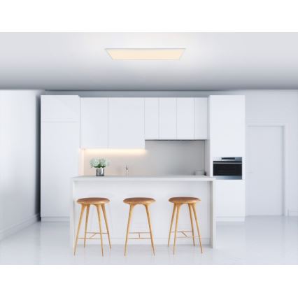 Globo - LED πλαφονιέρα- πάνελ ROSI LED/40W/230V