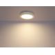 Globo - Φωτιστικό οροφής μπάνιου LED 1xLED/12W/230V